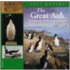 The Great Auk