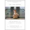 The New Brain door Richard Restak