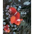 Zo worden kleine dieren groot in de zee