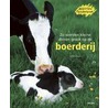 Zo worden kleine dieren groot op de boerderij