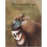 Theropithecus door Onbekend