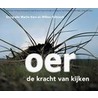 Oer by Willem Kolvoort