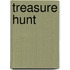 Treasure Hunt