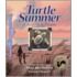 Turtle Summer