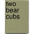 Two Bear Cubs