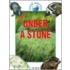 Under A Stone