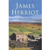 Vet In A Spin door James Herriot