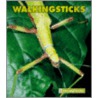 Walkingsticks by Patrick Merrick