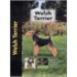 Welsh Terrier