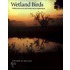 Wetland Birds