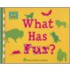What Has Fur?