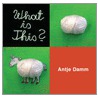 What Is This? door Antje Damm