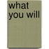 What You Will