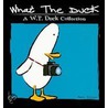 What the Duck by Aaron Johnson
