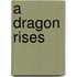 A Dragon Rises