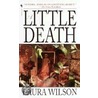 A Little Death door Laura Wilson