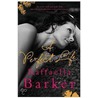A Perfect Life by Raffaella Barker