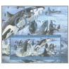 A Pod of Orcas door Sheryl McFarlane