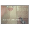 A Private Life by Ran Chen