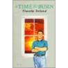 A Time To Burn by Timothy Ireland