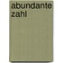 Abundante Zahl
