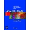 Adrenal Glands door Onbekend