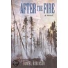 After the Fire door Daniel Robinson