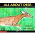 All about Deer