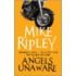 Angels Unaware