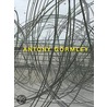 Antony Gormley by Marcus Steinweg