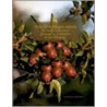 Appel Cookbook door Marilyn Lee Willour