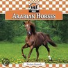 Arabian Horses by Breann Rumsch