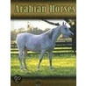 Arabian Horses by Lynn M. Stone