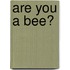 Are You A Bee?