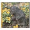 Baby Porcupine by Aubrey Lang
