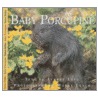 Baby Porcupine door Aubrey Lang