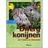 Dwergkonijnen