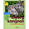 Dwergkonijnen by P. Beck