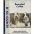Bearded Collie