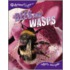 Bees And Wasps