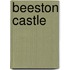 Beeston Castle