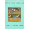Between Angels door Stephen Dunn