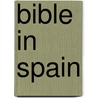 Bible in Spain door Ulick Ralph Burke
