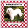 Bichons Frises by Julie Murray