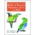 Birds Borneo P