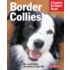 Border Collies