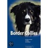 Border Collies door Barbara Sykes