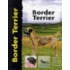 Border Terrier