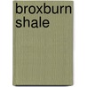 Broxburn Shale door Peter Caldwell