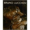 Bruno Lucchesi door David Finn